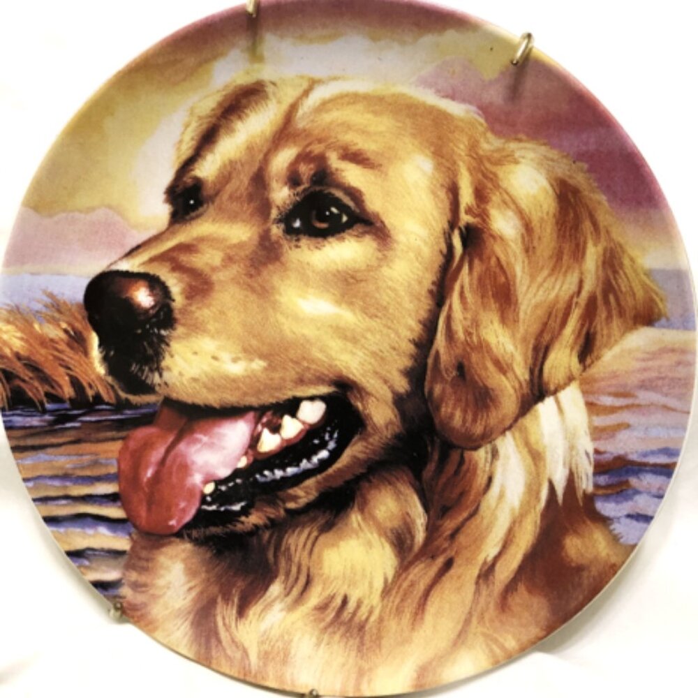 Collectors Plate, Man's Best Friend Golden Retriever Dog Plate 💸